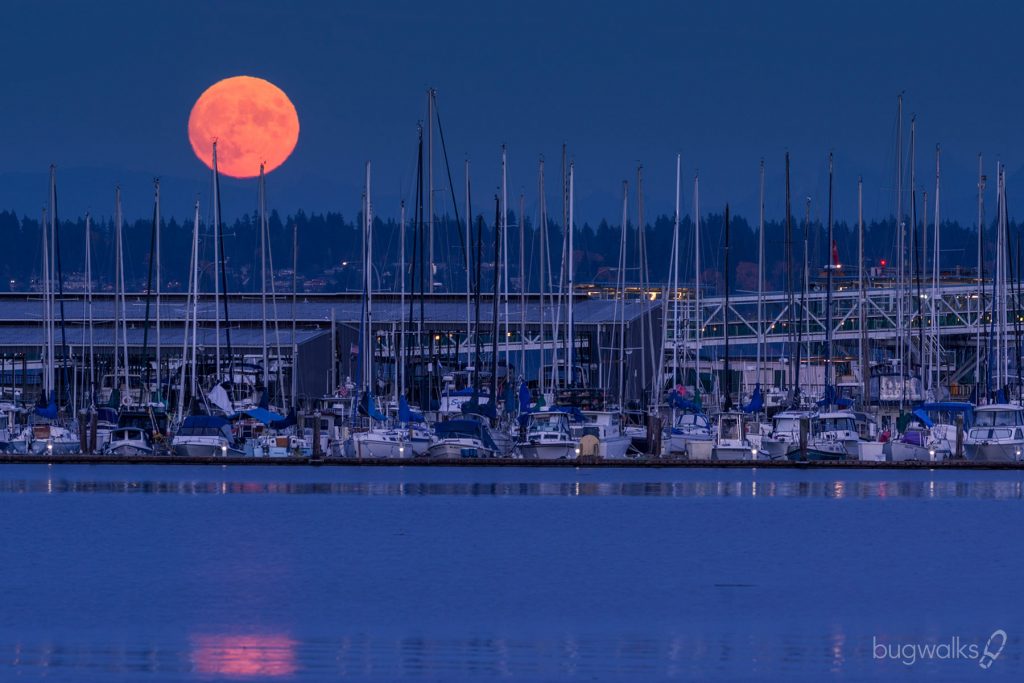 Kingston, Washington Home, Sweet, Home... Photography by Curtis W