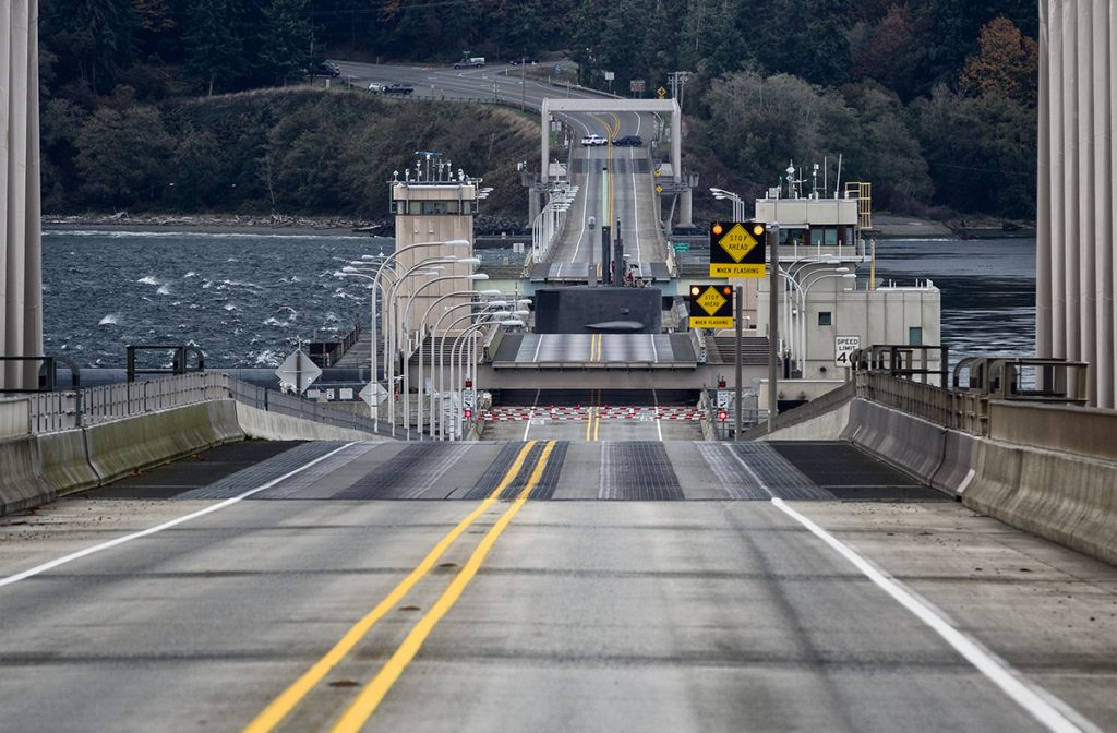 Lucky Shot Timing is Everything! Photography by Curtis W. Smith