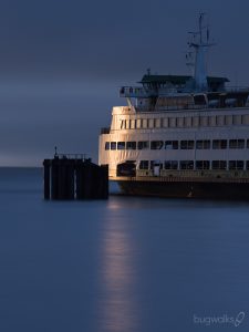 MV Puyallup at the dock on a foggy morning