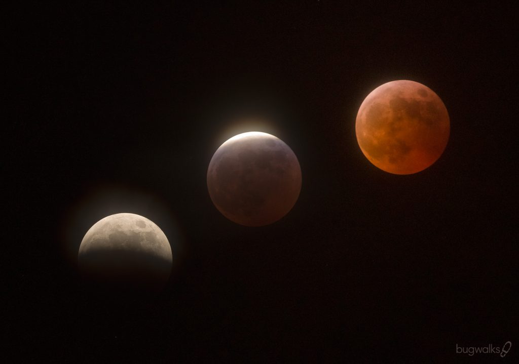 March 2025 Lunar eclipse composite